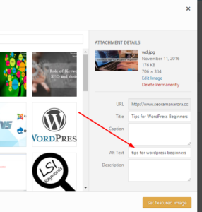 tips-for-wordpress-beginners